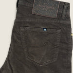 Pantalone Jacob Cohen Brown 