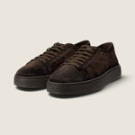 Scarpa Santoni Darl brown 